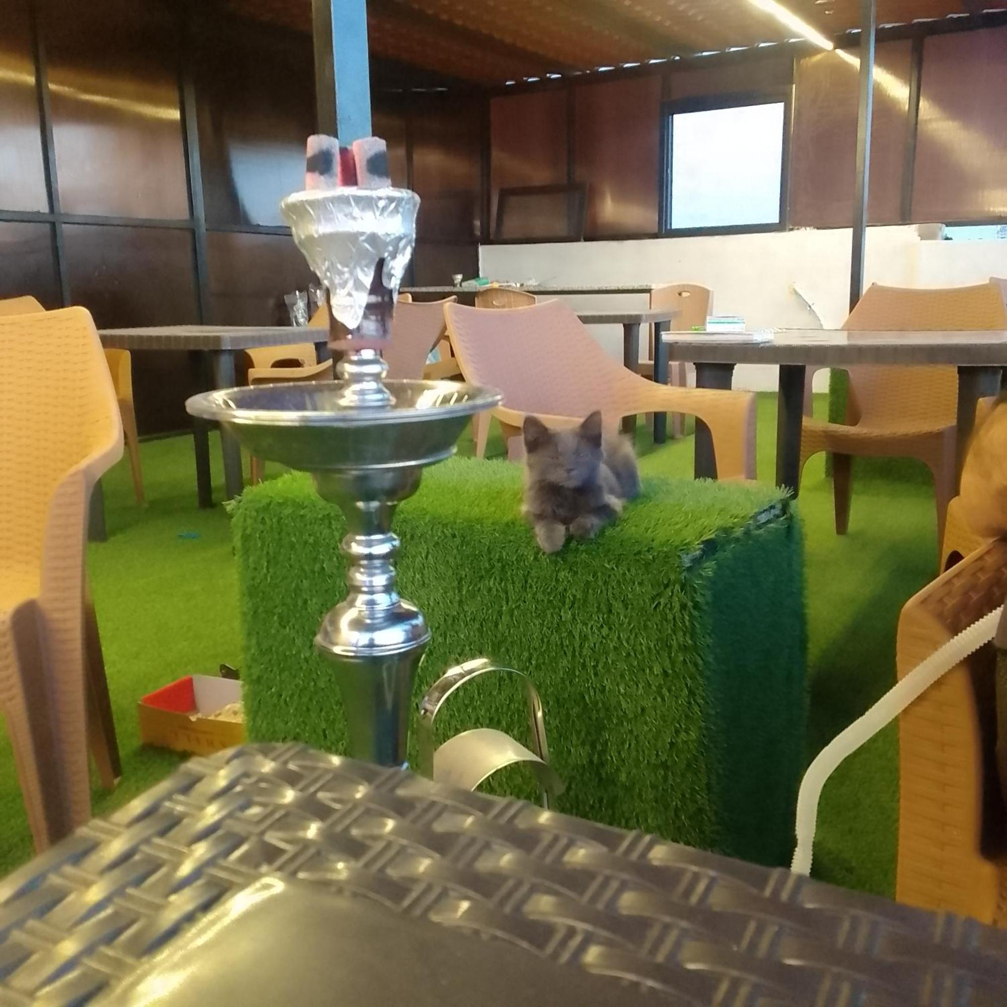 Dream House Hotel Jerash Dżarasz Zewnętrze zdjęcie